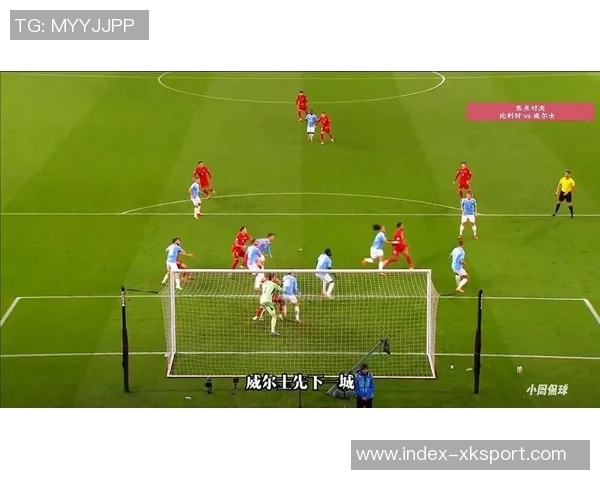 比利时世预赛精彩表现德布劳内双响特罗萨德助力球队4-2战胜威尔士