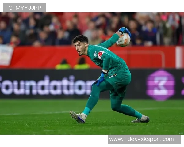 德天空报道水晶宫欲3000万欧签鲍姆加特纳遭莱比锡拒绝